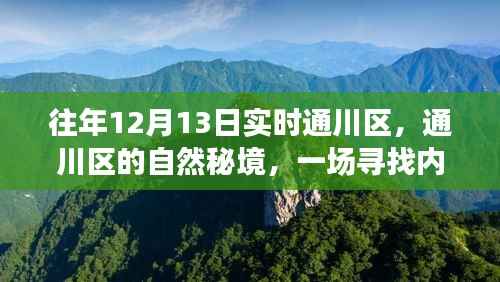 蝇声蛙噪 第2页