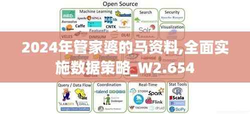2024年管家婆的马资料,全面实施数据策略_W2.654