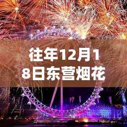 往年12月18日东营烟花实时直播路径，全面评测与详细介绍