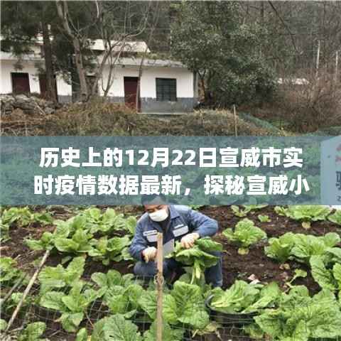 宣威市实时疫情数据更新，十二月二十二日特色环境之旅与小店的探秘之旅
