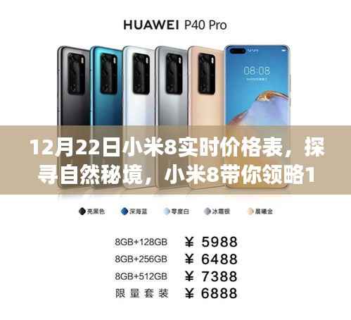小米8带你探寻自然秘境,最新实时价格表下的宁静之旅(12月22日)