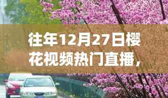 探秘樱花盛开之夜的巷弄秘境,特色小店直播之旅回顾往年樱花视频直播盛况