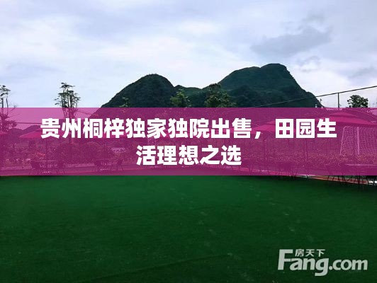 贵州桐梓独家独院出售,田园生活理想之选