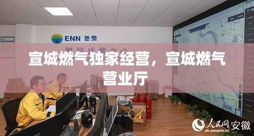 宣城燃气独家经营,宣城燃气营业厅