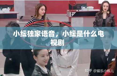 小纭独家语音,小纭是什么电视剧