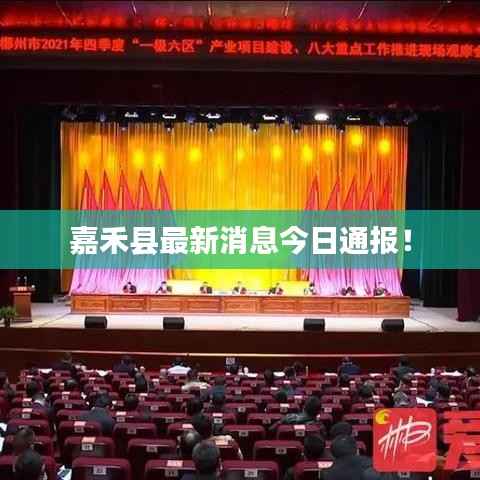 不知所云