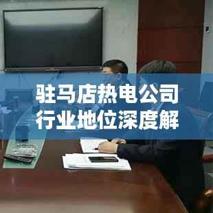 驻马店热电公司行业地位深度解析