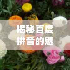 粗衣淡饭