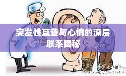 见缝就钻