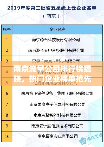 南京流量公司排行榜揭晓,热门企业榜单抢先看!