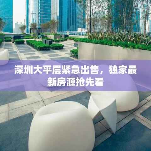 深圳大平层紧急出售,独家最新房源抢先看