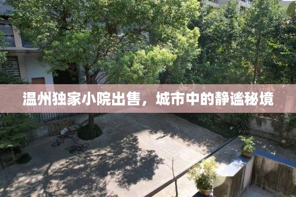 温州独家小院出售,城市中的静谧秘境