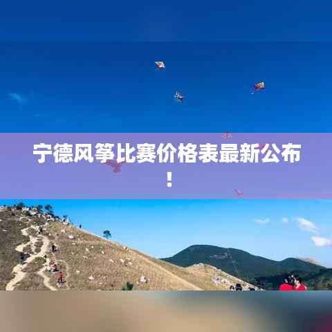 宁德风筝比赛价格表最新公布!