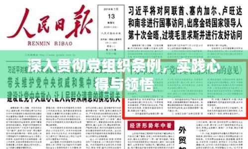深入贯彻党组织条例,实践心得与领悟