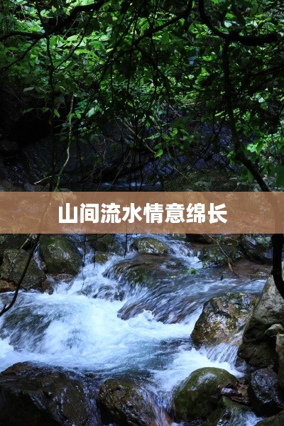 箪瓢陋室 第2页