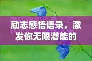 定谋贵决 第2页