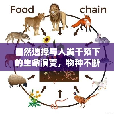 矫枉过正