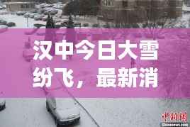 一花独放