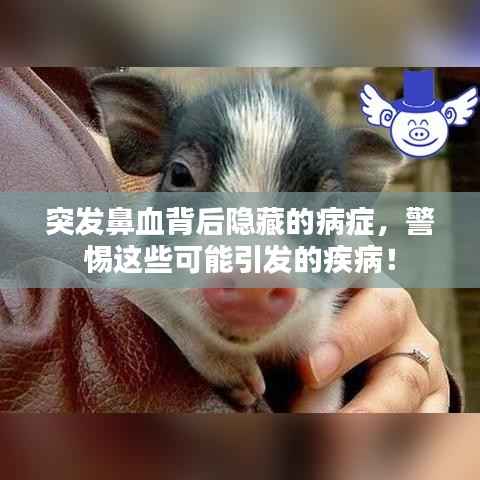 突发鼻血背后隐藏的病症,警惕这些可能引发的疾病!